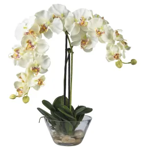 18" Artificial Phalaenopsis Flower w/Glass Vase.