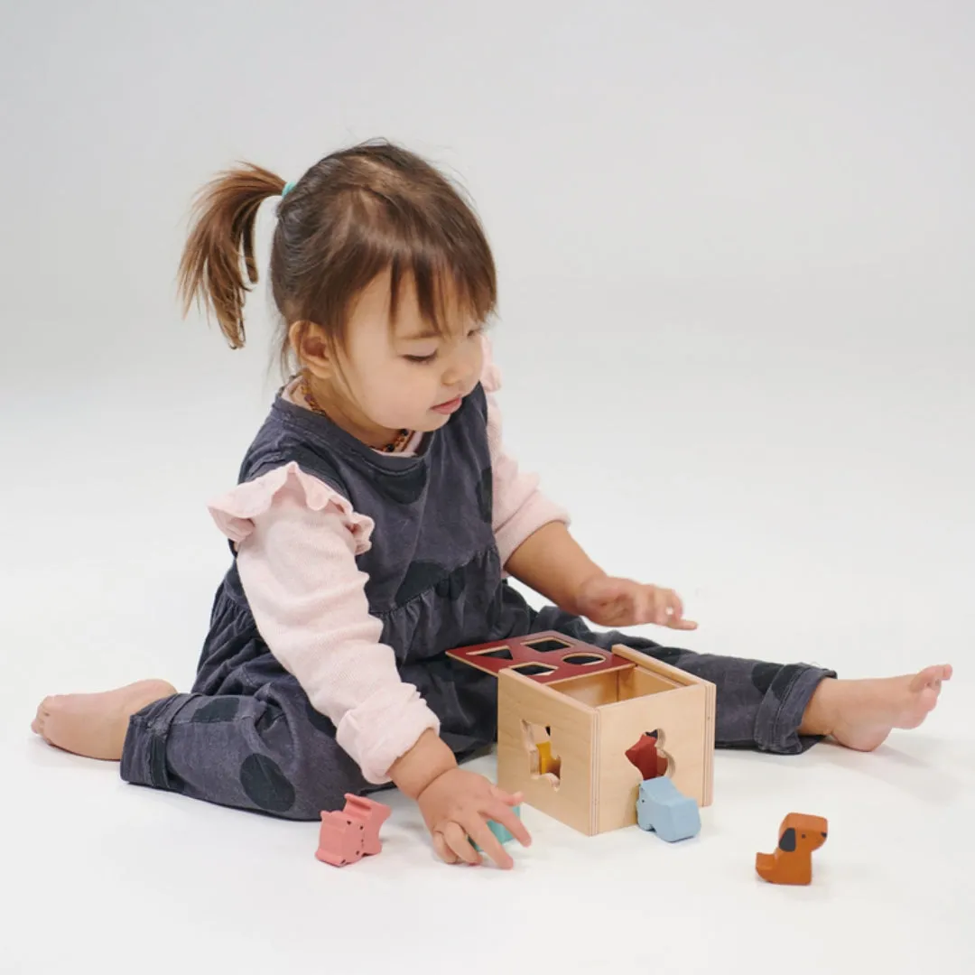 Bambino Shape Sorting Cube