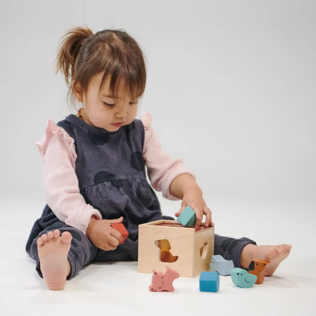 Bambino Shape Sorting Cube