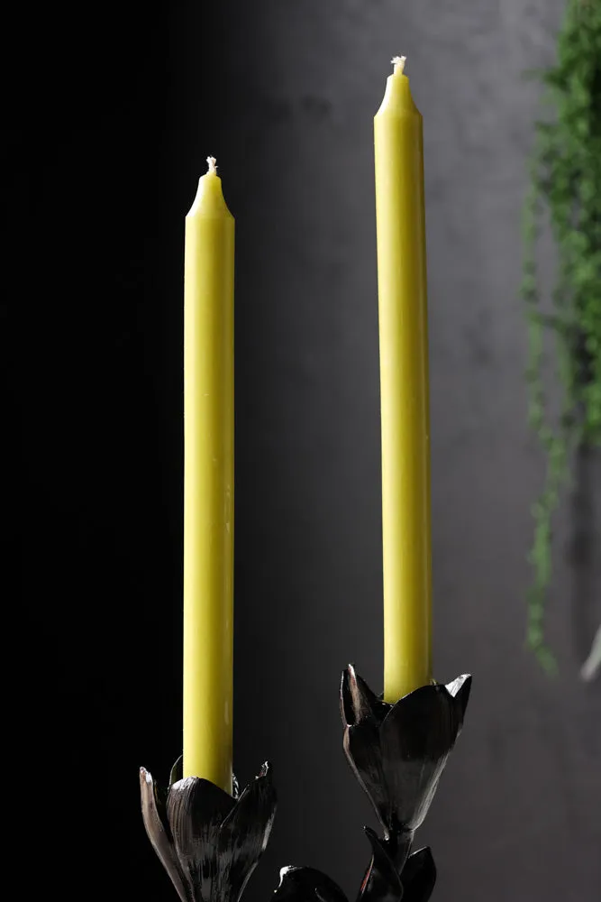 Beautiful Dinner Candle - Lime Green