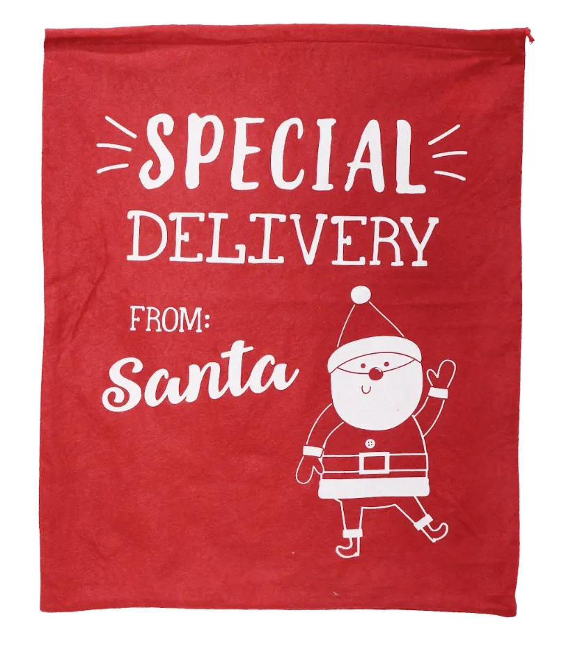 Special Delivery Felt Sack (50x60cm)