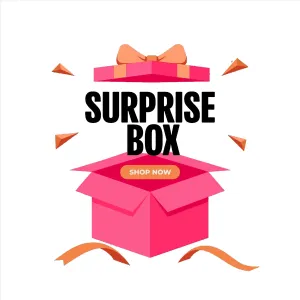 Surprise Box! Of (Premium handbags Collection)