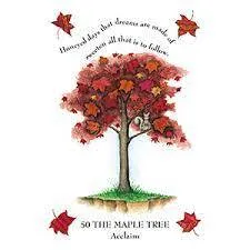 Tree Magick Oracle Deck, The: Includes 52 Cards and a 64-Page Illustrated Book